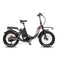 FAFREES F20 X Max električni bicikl 20" 750W 30Ah, sivi